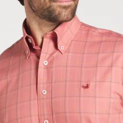 Chatham Lines Performance Dress Shirt