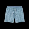 Dockside Swim Trunk - Falling Lines
