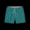 Dockside Swim Trunk - Palmdale Playa