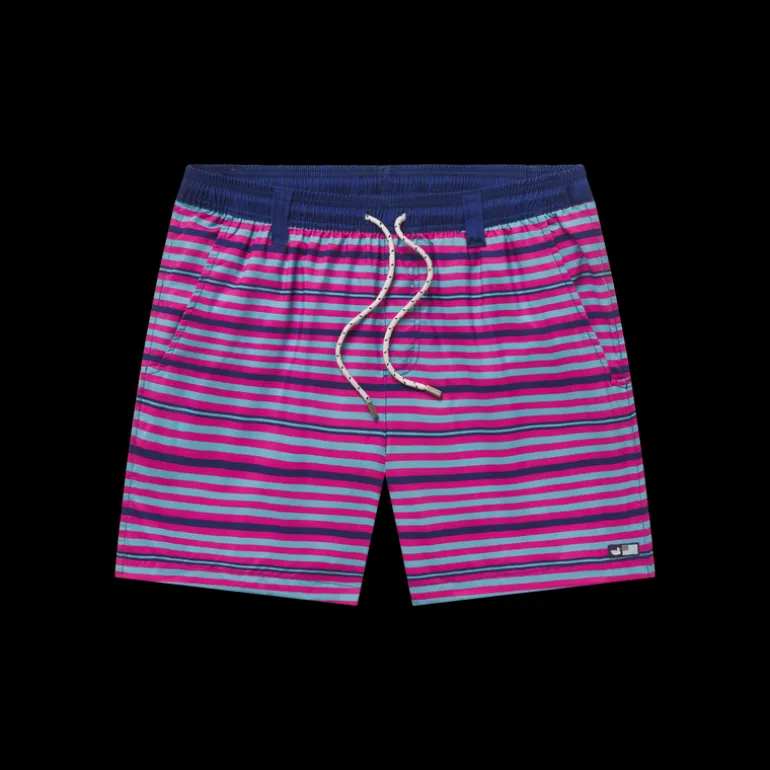 Dockside Swim Trunk - Stripes