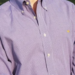 Gadwall Gingham Dress Shirt