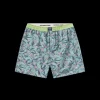 Hanover Flamingos Boxer