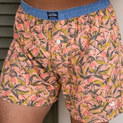Hanover Flamingos Boxer