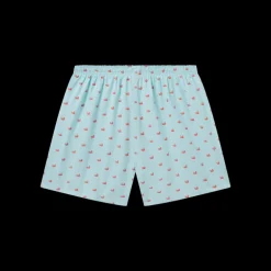 Hanover Oxford Boxer