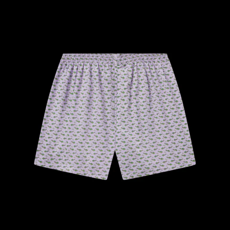 Hanover Pastimes Boxer