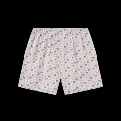 Hanover Pastimes Boxer