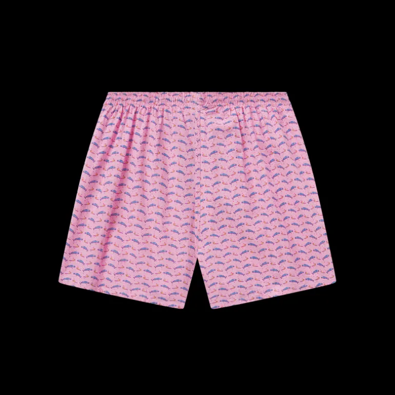 Hanover Pastimes Boxer