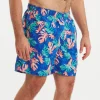 Harbor Lined Trunk - Tropical