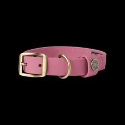 Mason Waterproof Dog Collar