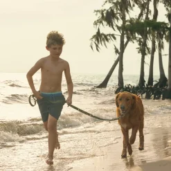 Mason Waterproof Dog Leash
