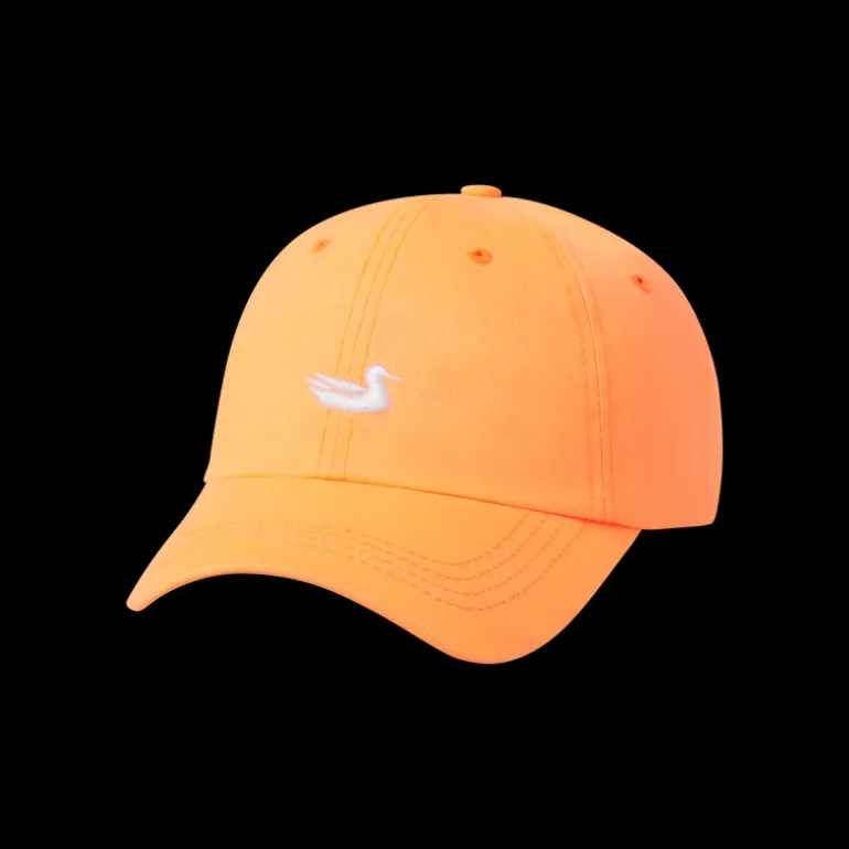 Neon Hat