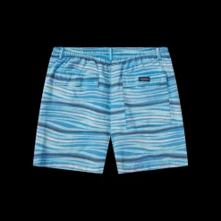 SEAWASH™ Shoals Swim Trunk - Waves
