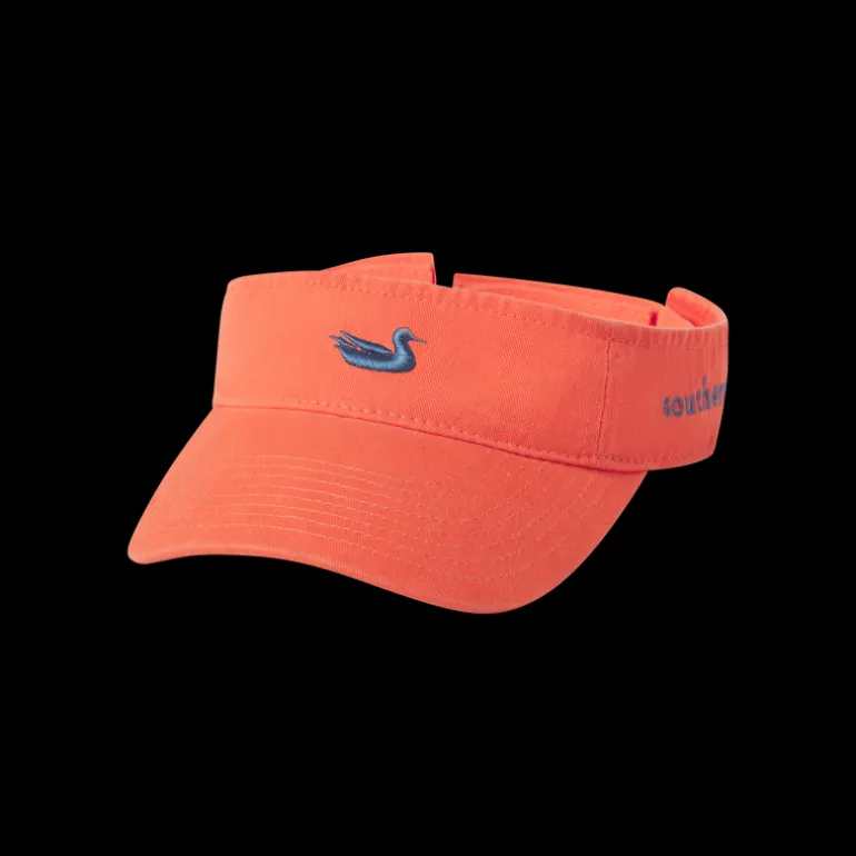 Washed Visor