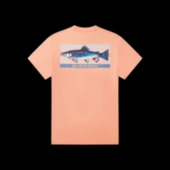 Youth Fishing Lines Tee - Brook Trout