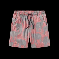 Youth Harbor Stretch Lined Seawash™ Trunk - Elephant