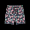 Youth Harbor Swim Trunk - Neon Palms
